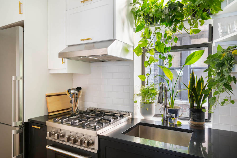 Stainless steel fridge, range, and fixtures